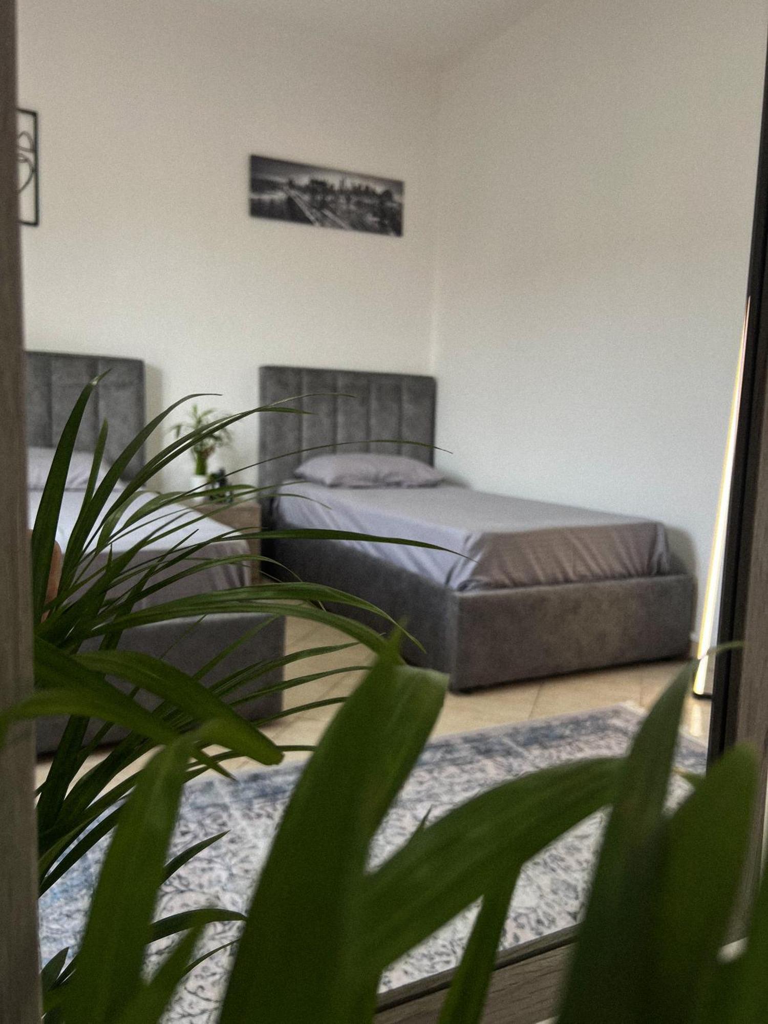 Hostel By Fenix Tirana Eksteriør billede